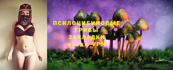 МДМА Нязепетровск
